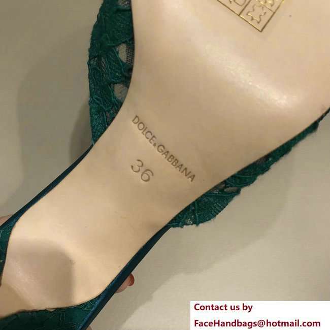 Dolce  &  Gabbana Heel 7cm Slippers Dark Green In Lace With Crystals 2018